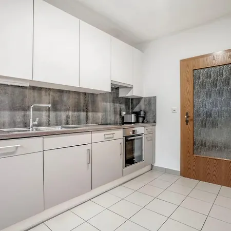 Saint - Wipkingen Apartamento Zúrich